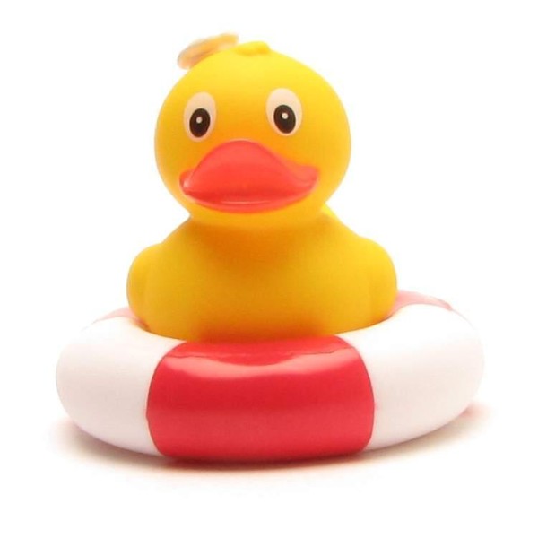 Standing Duck - cook - in swimming ring