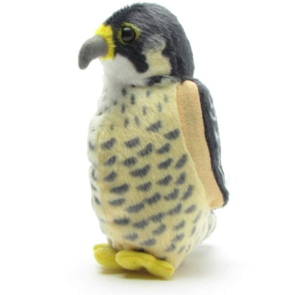 Peregine Falcon