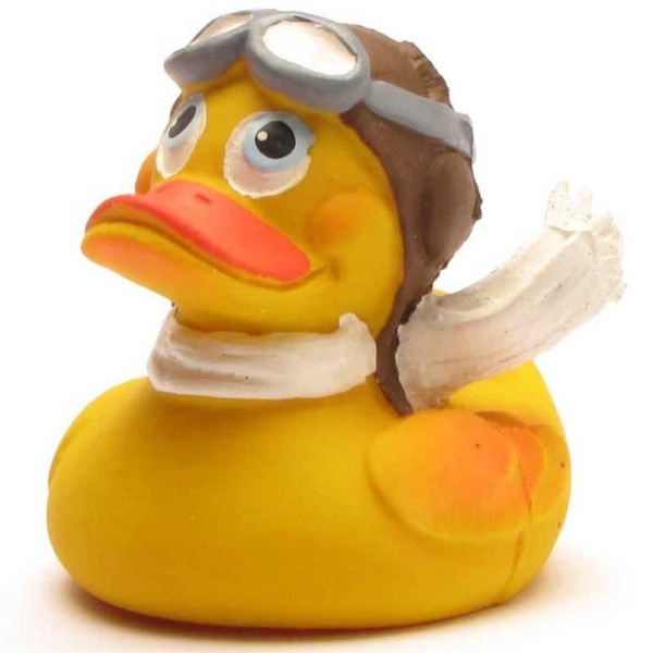Pilot Duck